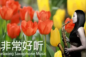 【萨克斯风】15首好听的萨克斯音乐视频封面