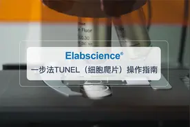 Elabscience_TUNEL凋亡检测(细胞爬片)样本的操作指南视频封面