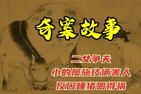 奇案故事：二女争夫，小的屡施伎俩害人，反因睡猪圈得祸视频封面
