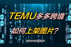 TEMU跨境电商，如何正确上传图片？