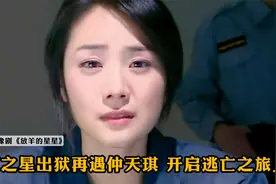夏之星出狱后，在遇仲天琪，两人开启逃亡之旅视频封面