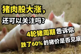 猪肉股大涨！还可以关注吗？4轮猪周期，告诉你猪价有没有见底？视频封面