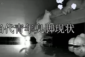 当代青年臭脚现状：人类的脚到底能臭到什么程度视频封面