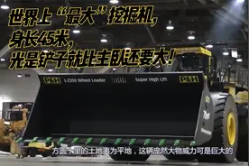 世界上“最大”挖掘机，身长45米，光是铲子就比主卧还要大！视频封面