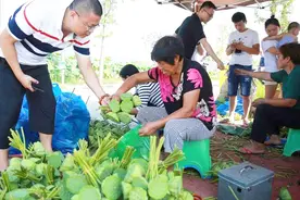 如何挑选新鲜又甜的莲蓬？这几点不明白，买的都是苦莲子视频封面