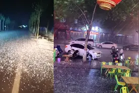 河南多地刮起大风气温猛降15度，辉县下起冰雹堪比鹌鹑蛋大小视频封面