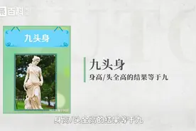 身体比例—九头身