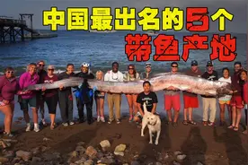 全国哪里的带鱼好吃？经过评选，5个地方比较出名，你全吃过吗？视频封面