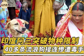 印度习俗究竟有多奇葩？女子和狗结婚，还有上百名亲友见证！视频封面