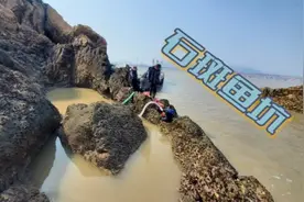 这是抽到石斑鱼坑吗，光石斑鱼就有五种，最贵的一条就值500块视频封面