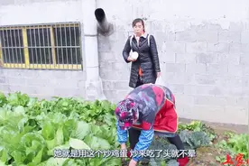 农村媳妇体质差经常头晕，婆婆冒雨找草药买鹅蛋，真是用心良苦！视频封面