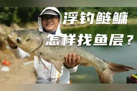 浮钓鲢鳙到底该钓多深？又该怎样找水层？