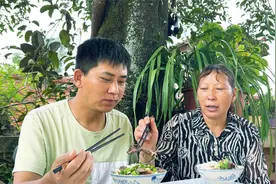 儿子心疼母亲太辛苦，花100块钱买了骡子肉，母亲却舍不得多吃视频封面