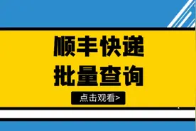 中通、顺丰运单追踪查询，教你批量查询无数个运单号的物流信息视频封面