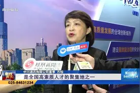南京主动融入粤港澳大湾区 签约32个大项目吸引投资近500亿视频封面