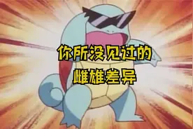 你所没见过的宝可梦雌雄差异视频封面