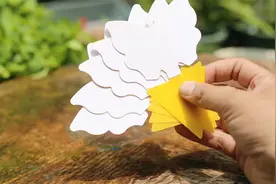 家里养花种菜虫子多怎么办？园艺师教你，使用蝴蝶黏虫板来解决视频封面