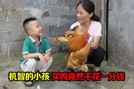 公鸡卖200元一只，不料小孩不花一分钱就拿走了一只鸡，太机智了视频封面