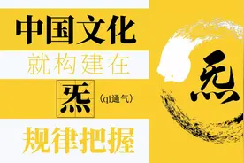 这期内容告诉你，为什么科学解释不了以气为核心构建的中国文化？视频封面