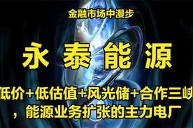 低价+低估值+风光储+合作三峡，能源业务扩张的主力电厂视频封面