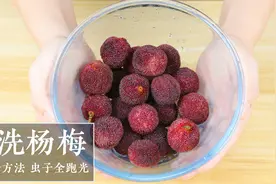 杨梅用盐和清水洗，相当于吃虫卵，教你2个方法，虫子自己跑出来视频封面