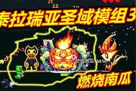 呱！泰拉瑞亚圣域3：南瓜也能变异了！那南瓜王呢？视频封面