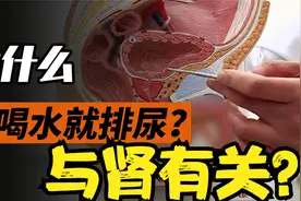 为什么有人一喝水就上厕所，有人喝水却没尿意？一天几次算正常？视频封面