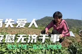 你有多幸福丧偶就有多痛苦，所有的安慰都无济于事，生活还得继续视频封面