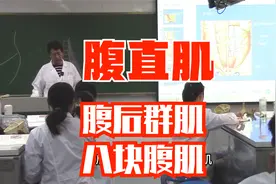 肌学 腹肌 腹直肌 腰大肌 腰方肌 系统解剖学