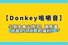 【Donkey咀嚼音】小哥大食山桃子【转载】视频封面
