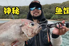 海钓什么鱼饵最好用？不是活虾也不是鱿鱼，还不用花钱！视频封面