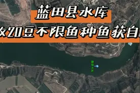 【二虎钓点分享】西安周边野钓蓝天县水库不限鱼种鱼获自用仅收20视频封面