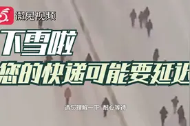 北方多地双十一快件可能滞留！顺丰：辽宁地区从7日起暂停配送视频封面