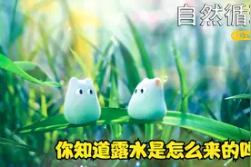 你知道露水是怎么来的吗？2分钟看高分动画《自然循环》视频封面