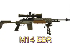 M14 EBR-焕发第二春 现代化的M14视频封面