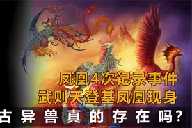 历代4次凤凰现身真相，黑龙江农民拍到野凤凰，上古神兽真存在？视频封面