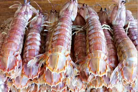 教你皮皮虾正确做法，这样做才算会吃，原汁原味，入口格外的鲜美