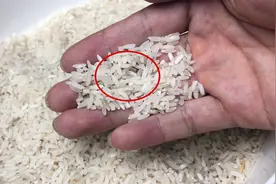 大米生虫不能拿去晒，米店老板教我两招，放一年不生虫子、不发霉