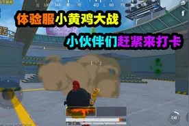 和平精英：体验服新增小黄鸡模式！快来一起打卡吧！