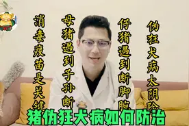 猪伪狂犬：3种临床表现症状要注意，专家：3个治疗方法教给你！视频封面