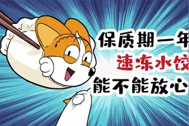 保质期一年的速冻水饺，能不能放心吃？视频封面