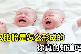 双胞胎是如何形成的，你知道吗？太神奇了！视频封面