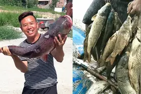 河南洛阳小浪底出现“流鱼”奇观，有人捞到重达30斤的黄河大鲢鱼视频封面