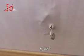 墙体潮湿 墙面长出了蘑菇 业主哭笑不得视频封面