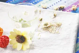 菊花茶隔夜还能喝吗？变质的菊花茶还有哪些作用呢？视频封面