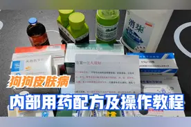 金毛拉布拉多柯基泰迪比熊雪瑞纳狗狗皮肤 病用药配方及操作教程视频封面