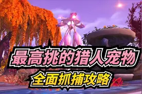 【老司机】最高挑的猎人宠物，长脚水黾全面抓捕攻略！