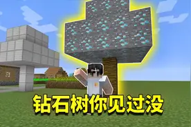 我的世界mod：树苗可以种植出钻石块？发家致富的钻石树你见过没