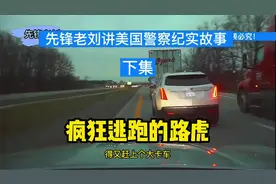 美警追车执法，一口气看完系列视频封面