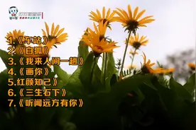 无损高音质HiFi试音碟《车站》《白狐》